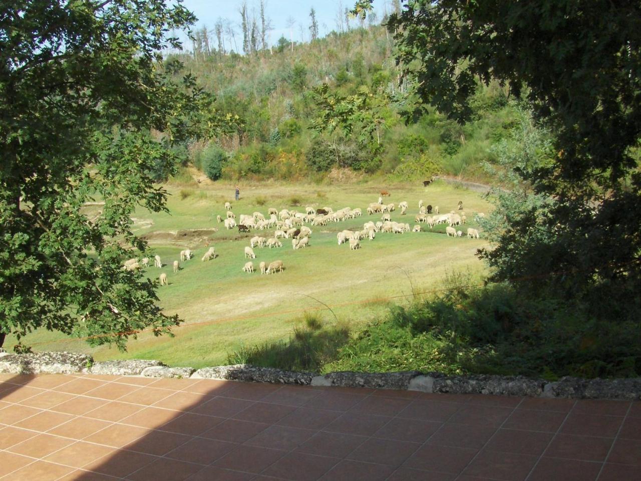 Traditional Mansion In Treixedo With Swimming Pool Buitenkant foto