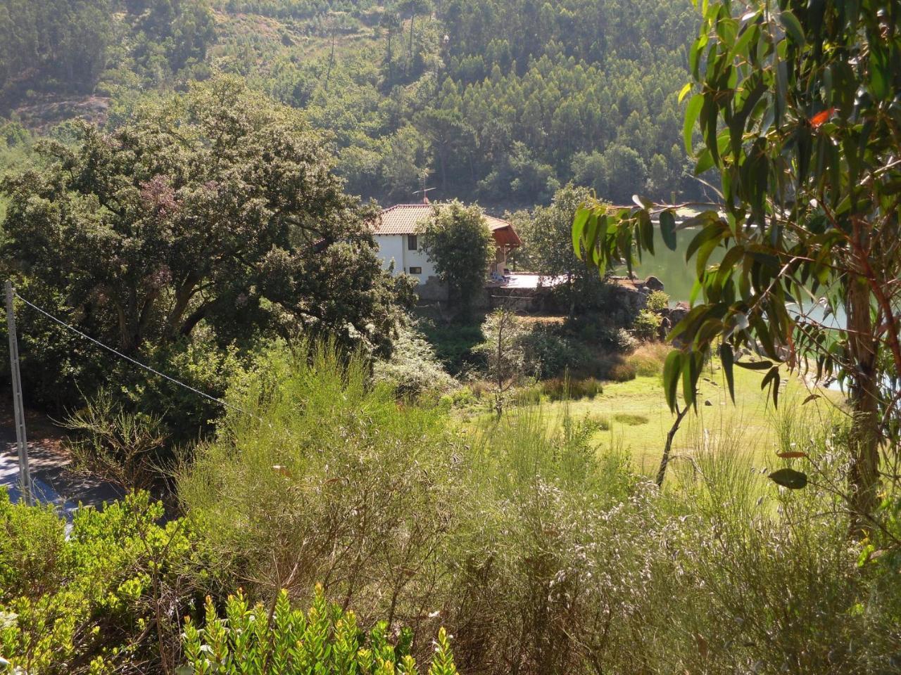 Traditional Mansion In Treixedo With Swimming Pool Buitenkant foto